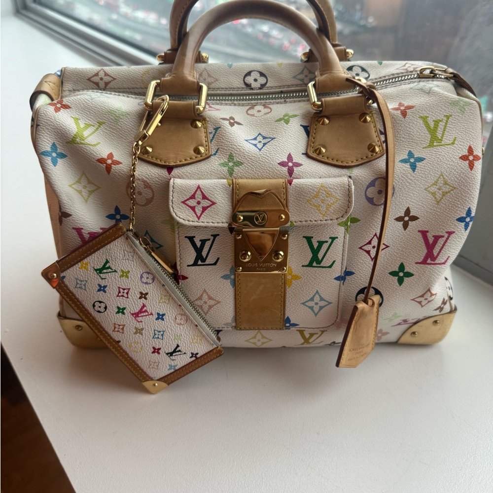 Louis Vuitton Multicolor Monogram Handbag